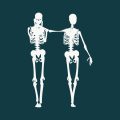 Clinical Effectiveness of Hydrotherapy for Musculoskeletal Rehabilitation