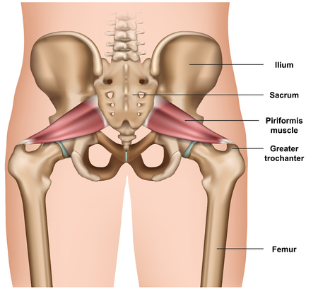 Phases of Shoulder Rehabilitation