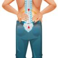 Navigating Rehabilitation Pathways: How GPs Guide NHS and Private Rehab Choices