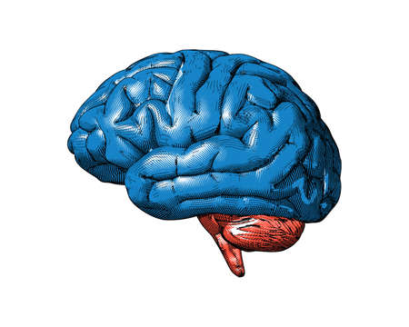 Comprehensive Approaches to Pain Management in Older Adults: Integrating Physical and Psychological Strategies