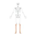 Comprehensive Approaches to Spinal Cord Injury Rehabilitation in the UK: Current Best Practices