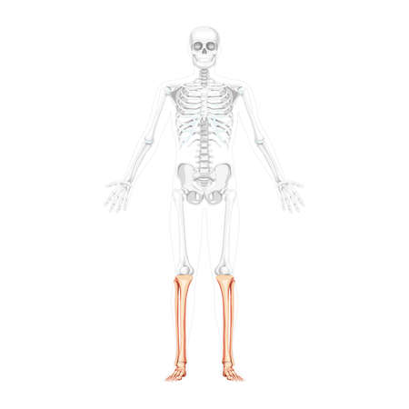 Comprehensive Approaches to Spinal Cord Injury Rehabilitation in the UK: Current Best Practices