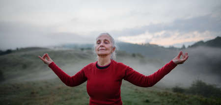 Evidence-Based Practices for Improving Balance in the Elderly: A British Perspective