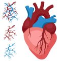 Parkinson’s Disease Rehabilitation in England: Multidisciplinary Approaches for Better Outcomes