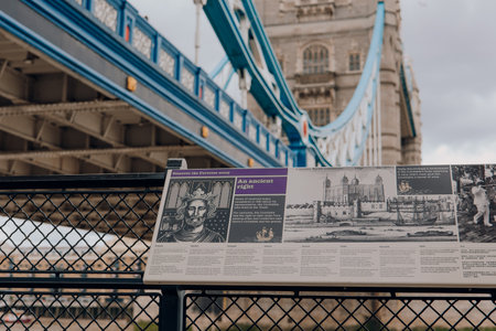 Future Trends: How Technology and Policy May Change Private Rehab Costs in the UK