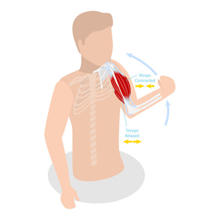 Assessment Techniques Used by UK Physiotherapists