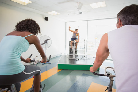 The Multidisciplinary Team Approach to Recovery: British Examples and Case Studies