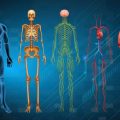Role of the NHS in Advancing Gait Training Programmes