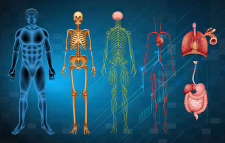 Role of the NHS in Advancing Gait Training Programmes