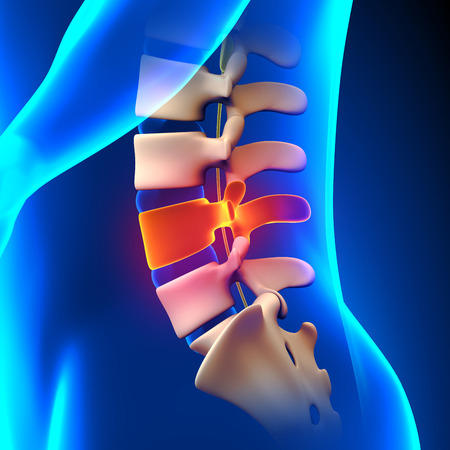 Understanding Rehabilitation Pathways for Older Adults in the UK: Focus on Hip Fracture Recovery