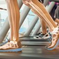 The Fundamentals of Postural Correction in UK Physiotherapy Practice