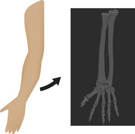 Understanding Fascia: Evidence-Based Approaches in Soft Tissue Mobilisation
