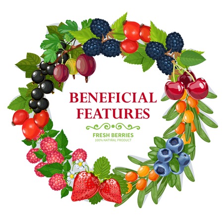 Essential Nutrients for Bone Recovery