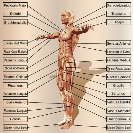 Integrating Personalised Treatment Plans