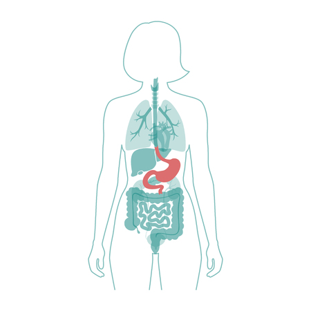 Red Flag Symptoms and When to Refer
