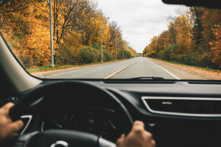 Return to Work and Driving after Cardiac Events: Legal and Social Considerations in the UK