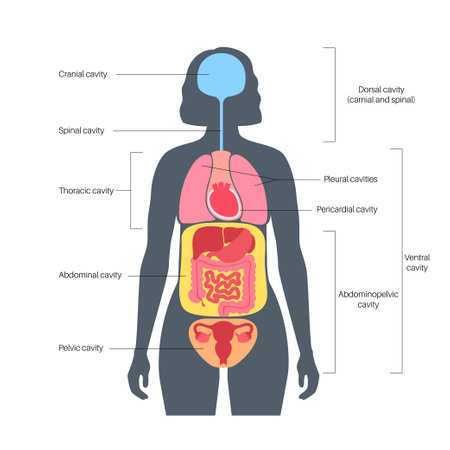 Nutrition and Hydration: Their Influence on Fall Risks in British Seniors